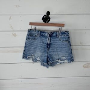 Aerie Relaxed Fit Jean Shorts
